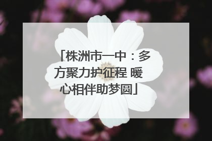 株洲市一中：多方聚力护征程 暖心相伴助梦圆