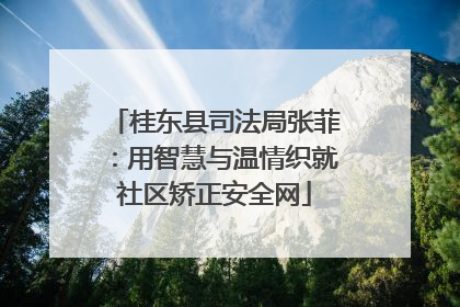 桂东县司法局张菲：用智慧与温情织就社区矫正安全网
