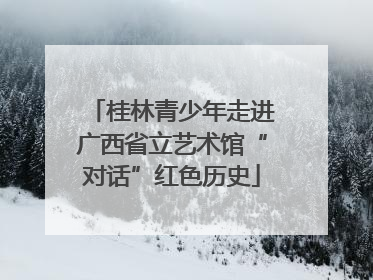 桂林青少年走进广西省立艺术馆“对话”红色历史