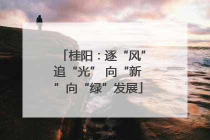 桂阳：逐“风”追“光” 向“新”向“绿”发展