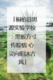 桐柏县思源实验学校：黑板方寸传粽情 心灵向阳沐古风