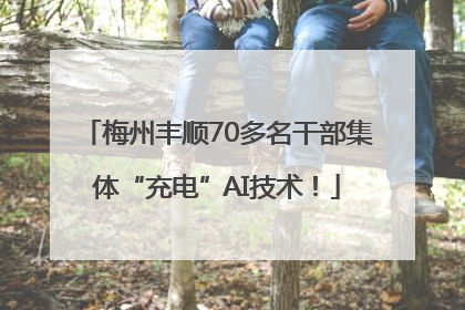 梅州丰顺70多名干部集体“充电”AI技术！