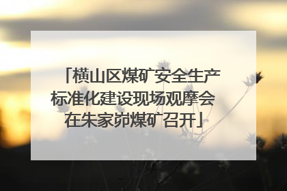 横山区煤矿安全生产标准化建设现场观摩会在朱家峁煤矿召开