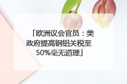 欧洲议会官员：美政府提高钢铝关税至50%毫无道理