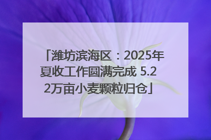 潍坊滨海区：2025年夏收工作圆满完成 5.22万亩小麦颗粒归仓