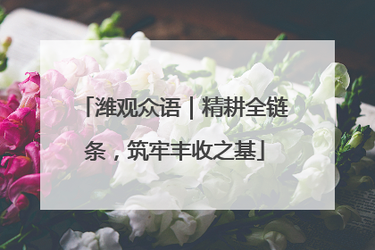 潍观众语｜精耕全链条，筑牢丰收之基