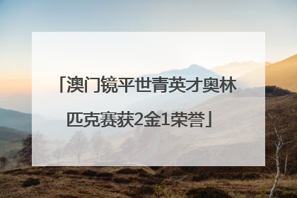 澳门镜平世青英才奥林匹克赛获2金1荣誉