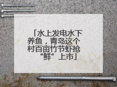 水上发电水下养鱼，青岛这个村百亩竹节虾抢“鲜”上市