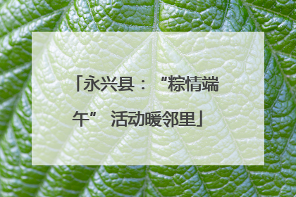 永兴县：“粽情端午” 活动暖邻里
