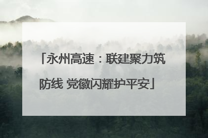 永州高速：联建聚力筑防线 党徽闪耀护平安