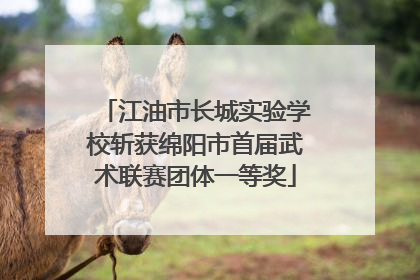 江油市长城实验学校斩获绵阳市首届武术联赛团体一等奖