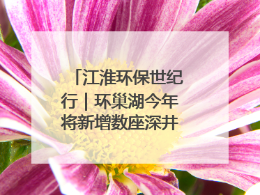 江淮环保世纪行｜环巢湖今年将新增数座深井控藻平台