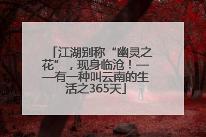 江湖别称“幽灵之花”，现身临沧！——有一种叫云南的生活之365天