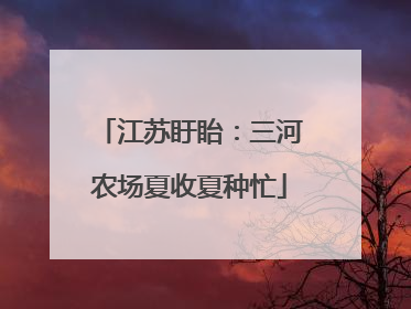 江苏盱眙：三河农场夏收夏种忙