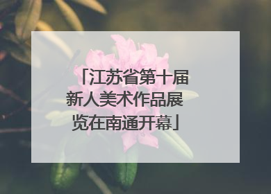 江苏省第十届新人美术作品展览在南通开幕
