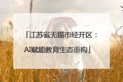 江苏省无锡市经开区：AI赋能教育生态重构