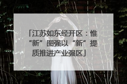 江苏如东经开区：惟“新”图强以“新”提质推进产业强区