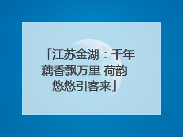 江苏金湖：千年藕香飘万里 荷韵悠悠引客来
