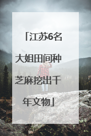 江苏6名大姐田间种芝麻挖出千年文物