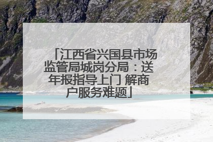 江西省兴国县市场监管局城岗分局：送年报指导上门 解商户服务难题