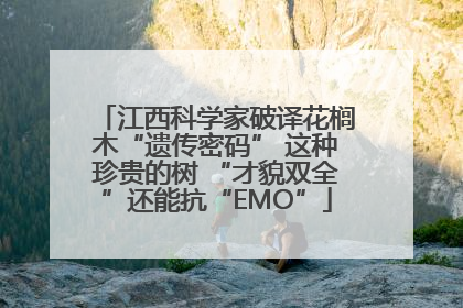江西科学家破译花榈木“遗传密码” 这种珍贵的树 “才貌双全”还能抗“EMO”