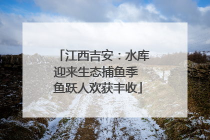 江西吉安：水库迎来生态捕鱼季 鱼跃人欢获丰收