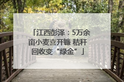 江西彭泽：5万余亩小麦喜开镰 秸秆回收变“绿金”