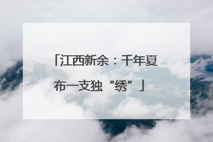 江西新余：千年夏布一支独“绣”