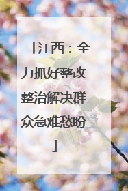 江西：全力抓好整改整治解决群众急难愁盼