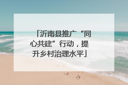 沂南县推广“同心共建”行动，提升乡村治理水平