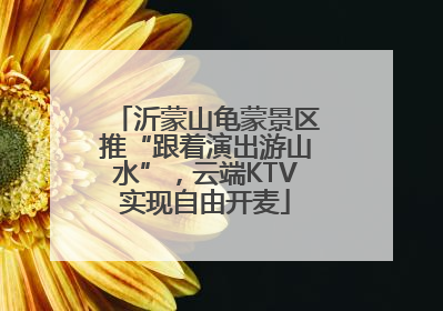 沂蒙山龟蒙景区推“跟着演出游山水”，云端KTV实现自由开麦