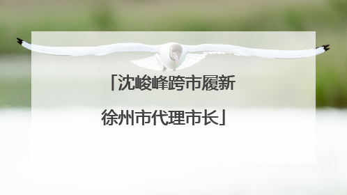 沈峻峰跨市履新徐州市代理市长