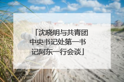 沈晓明与共青团中央书记处第一书记阿东一行会谈