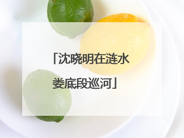 沈晓明在涟水娄底段巡河