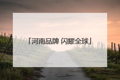 河南品牌 闪耀全球