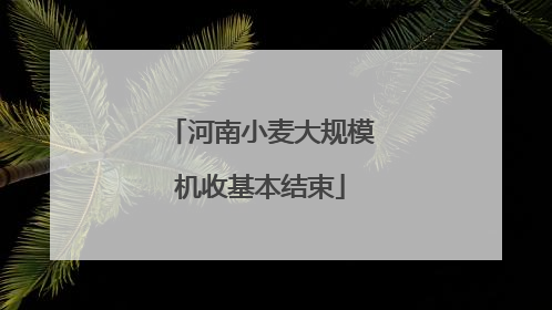 河南小麦大规模机收基本结束