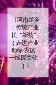 河南新乡：传统产业长“新枝”（走进产业地标·发展一线探变化）
