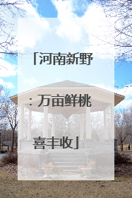 河南新野：万亩鲜桃喜丰收