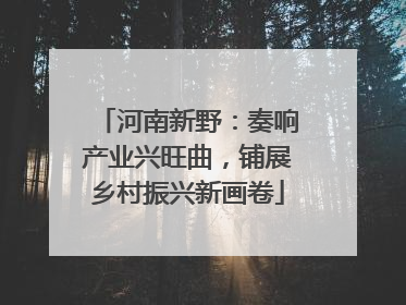 河南新野：奏响产业兴旺曲，铺展乡村振兴新画卷