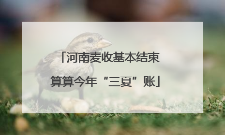 河南麦收基本结束 算算今年“三夏”账