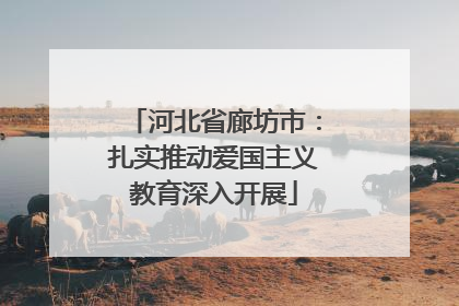 河北省廊坊市：扎实推动爱国主义教育深入开展