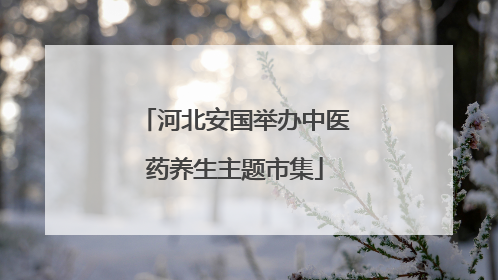 河北安国举办中医药养生主题市集