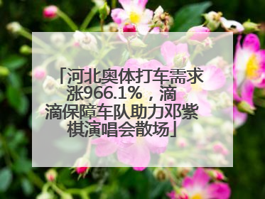 河北奥体打车需求涨966.1%，滴滴保障车队助力邓紫棋演唱会散场