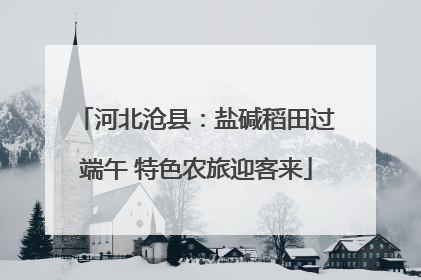 河北沧县：盐碱稻田过端午 特色农旅迎客来