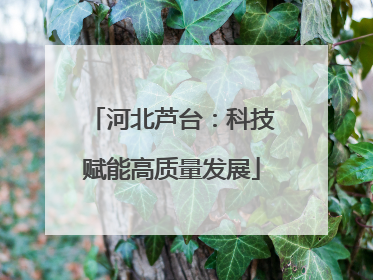 河北芦台：科技赋能高质量发展