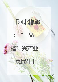 河北邯郸：“一品一播”兴产业惠民生