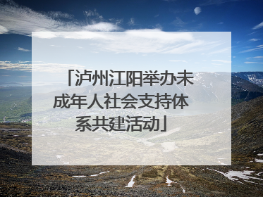 泸州江阳举办未成年人社会支持体系共建活动
