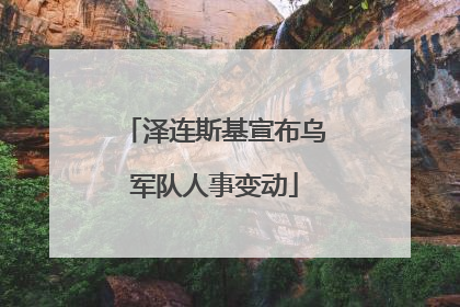 泽连斯基宣布乌军队人事变动