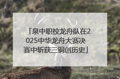 泉中职校龙舟队在2025中华龙舟大赛决赛中斩获三铜创历史