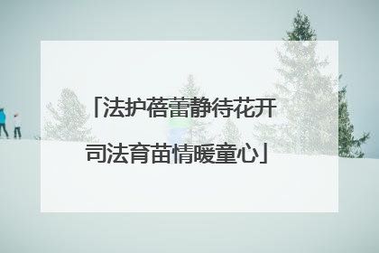 法护蓓蕾静待花开 司法育苗情暖童心